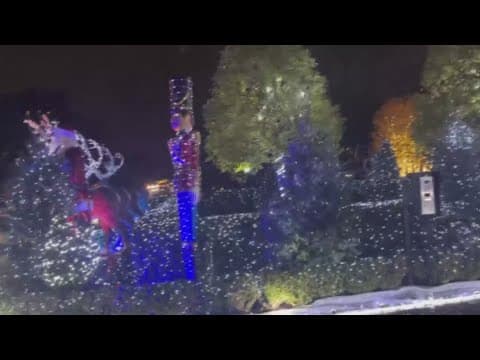 Dallas considers new regulations after the Christmas lights display causes problems