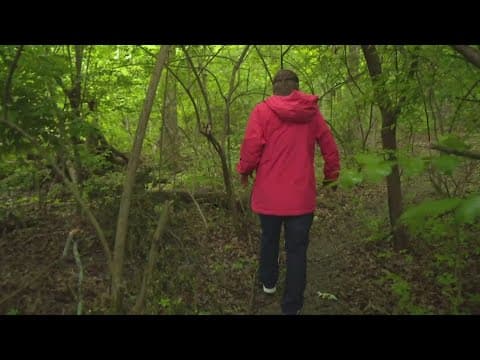 Perry Township urban forest being redeveloped