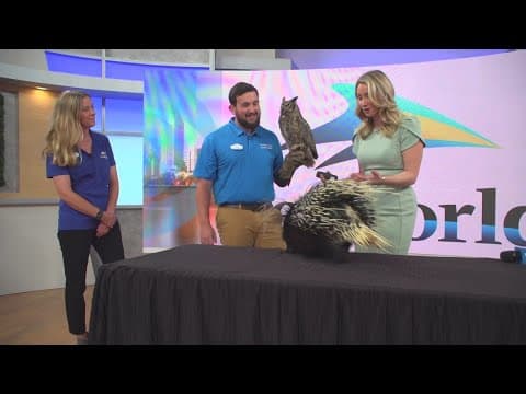 Seaworld makes learning fun with the new Rescue Jr. area