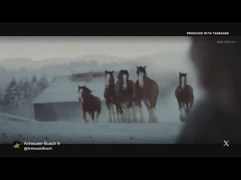 Check out this first look at the Super Bowl ads