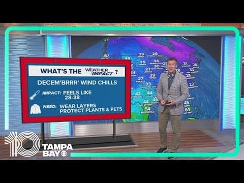 10 Tampa Bay Forecast: Saturday, December 7, 2024