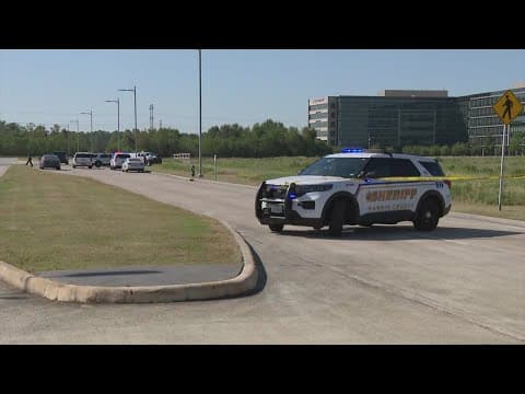 Woman found dead in a field near Beltway 8, Harris County sheriff says