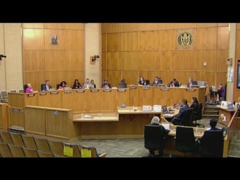 San Diego City Council green lights measures for November ballot