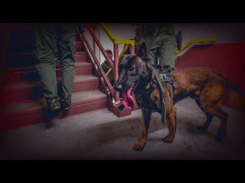 Memorial held for JPSO K-9 Macho
