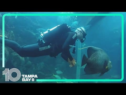 Florida Aquarium volunteer has dedicated more than 10,000 hours over 22 years to its mission