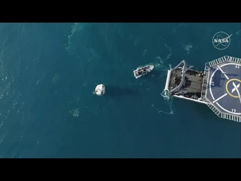 Pod of dolphins greets Dragon spacecraft after splash down in Gulf