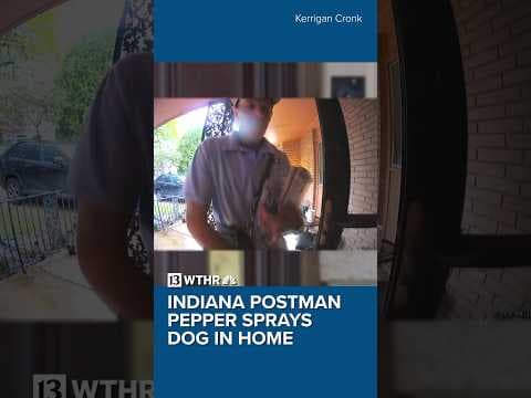 Indiana postman caught on video pepper spraying dog through mail slot in door