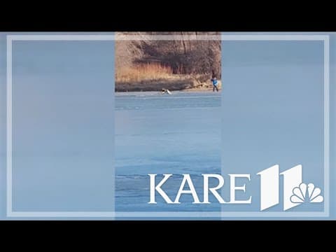 Video: Bystanders rescue person who fell through ice