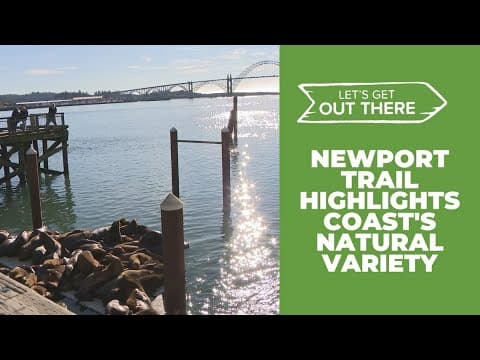 A hidden nature trail in Newport: Ocean to Bay Trail offers peace and beauty