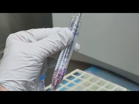 The Breakdown: IVF Protection Bill Advances to Senate vote, key amendment rejected