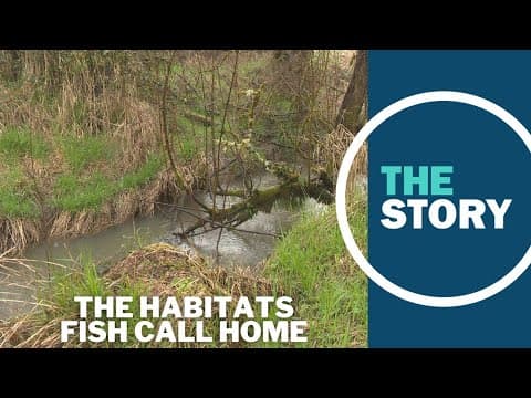 Oregon expands its map of critical fish habitat throughout the state