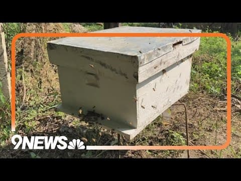 Butterfly Pavilion, CSU announce new partnership