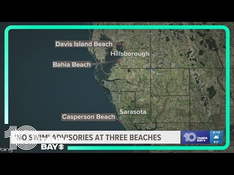 Health advisory issued for Bahia, Davis Islands beaches due to fecal bacteria