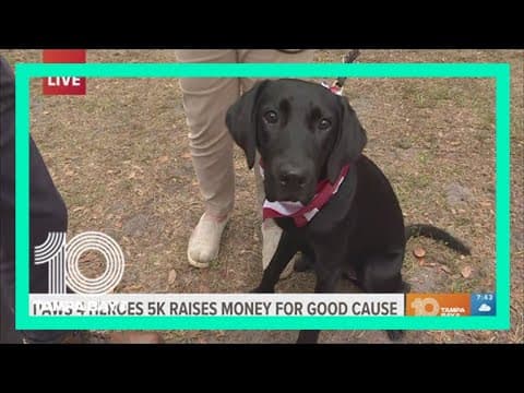 5K, walk-a-thon benefits Southeastern Guide Dogs to provide service dogs to veterans