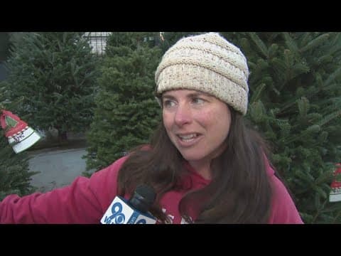 Eco-friendly Christmas Trees | ECO9