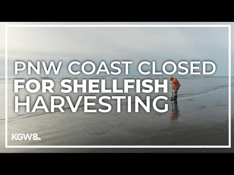 Shellfish harvesting shut down along Washington coast