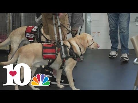 Service & Sacrifice: A 'second' service dog