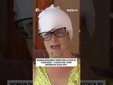 Woman describes vicious dog attack #shorts