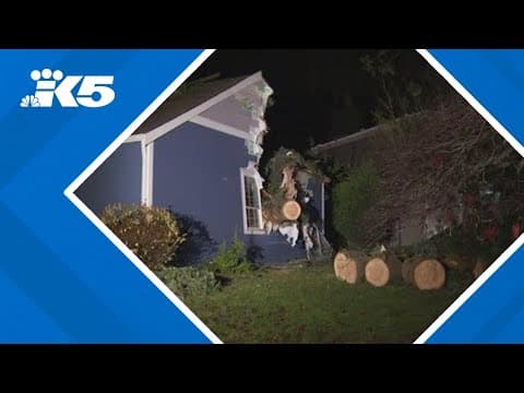 Neighbors in Redmond picking up the pieces after disastrous wind storm