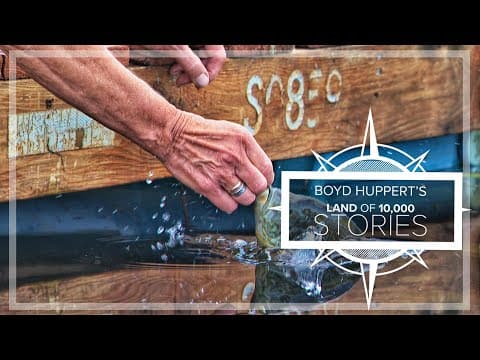 Dockside friendship between woman & sunfish reaches nine years