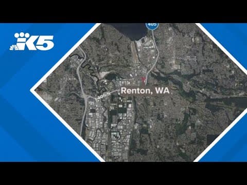 Man drowns after fleeing police at Renton park