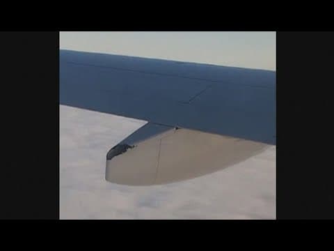 29 people survive deadly plane crash