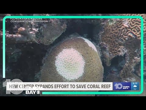 Florida Aquarium opens new coral conservation center
