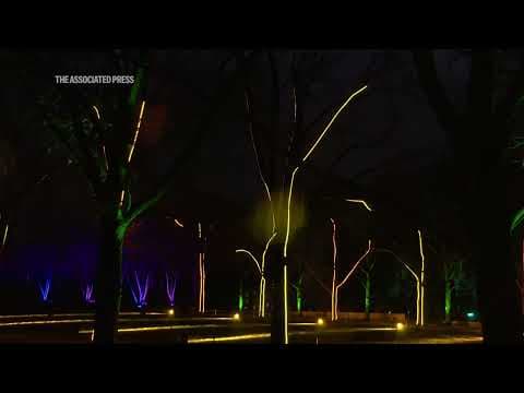 Holiday light displays at the Chicago Botanic Garden