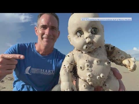 Professional beachcomber shows off weird and wacky finds from Texas beaches