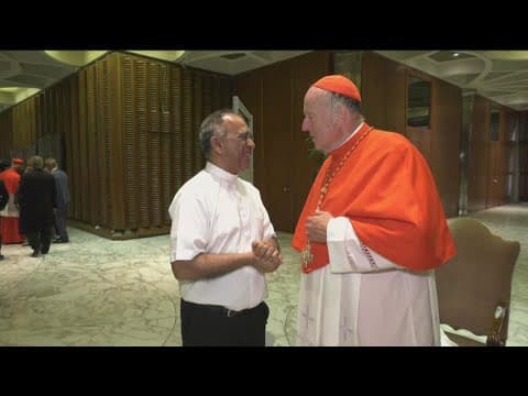 Pope expands ranks of cardinals who'll likely pick successor, San Diego Bishop McElroy named Cardina