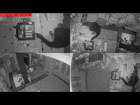 3 men break into Cafe du Monde, steal cash register: They got away with $16