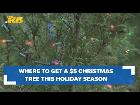 Where to get a $5 Christmas tree this holiday season