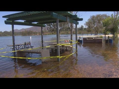Rapid rise of water levels at Lake Murray is flooding the shoreline