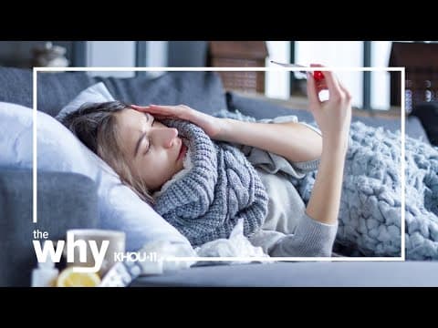 Why is this flu season so bad?
