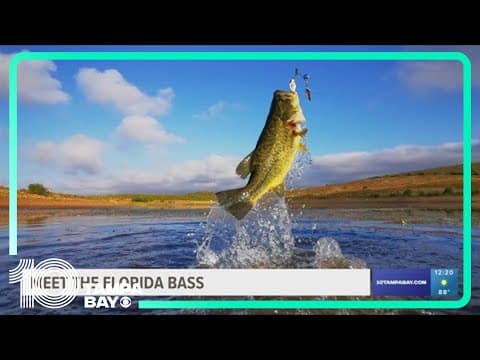 FWC announces Largemouth bass now go by a new name