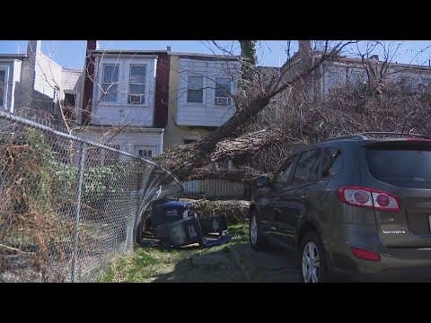 DC neighbors say they've been calling on the city to remove massive tree that fell for years