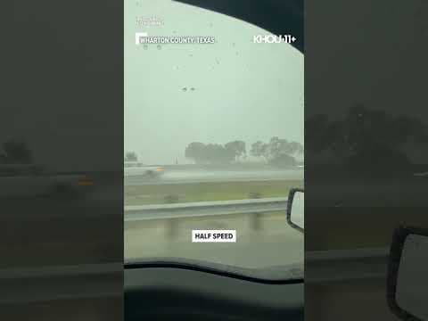 This Texas driver caught an extremely rare moment on video while driving Highway 59