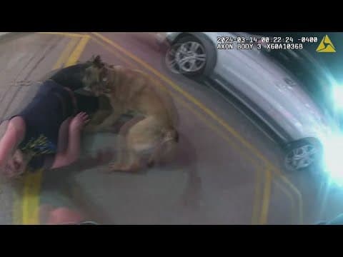 Woman sues after KCSO K-9 bite leaves her with scars, hundreds of thousands in medical bills