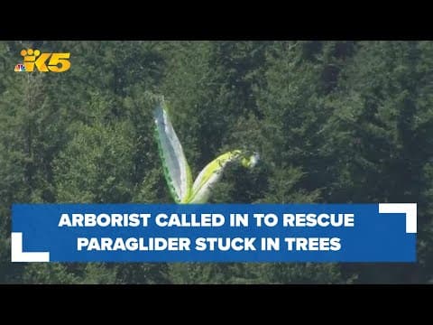 Arborist called in to rescue paraglider stuck in trees near Issaquah