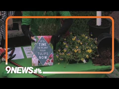 Tips for taking care of your garden as summer ends