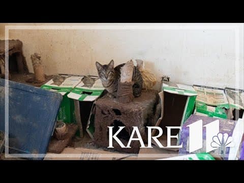 Animal rescues advocate for more mental health resources for pet owners