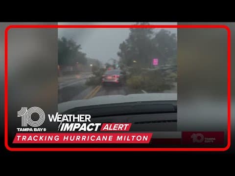 Tree falls on top of car during Hurricane Milton