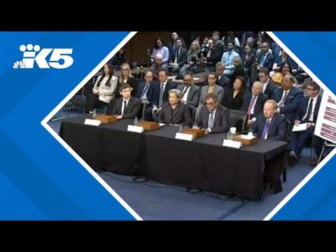 Senators question tech CEOs on A.I.