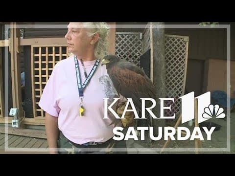 DNR Garden Stage at the State Fair features raptors and fun