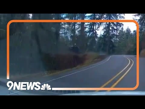 Distracted Driver Drives Off Cliff in Oregon | Shocking Dashcam Footage