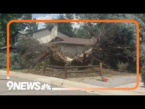 Strong wind gust causes damage in Centennial