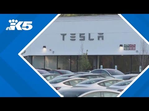 Seattle Tesla protests to continue despite Musk's tumultuous exit from White House