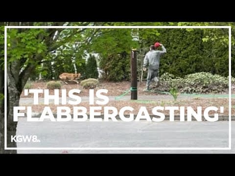 Aggressive pit bull located by law enforcement but not seized