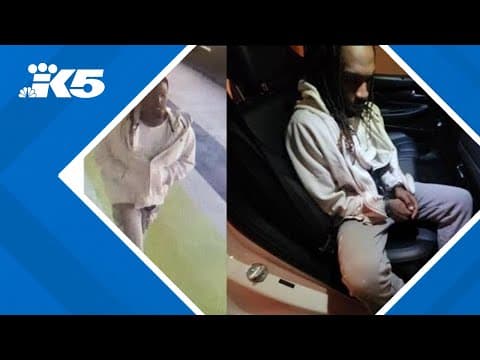Fugitive flees on light rail from Seattle-Tacoma Airport