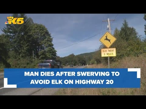 Man dies after swerving to avoid elk on Highway 20